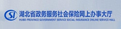 请问武汉市个人社保帐户怎么查询?，武汉社保开通网上申报流程